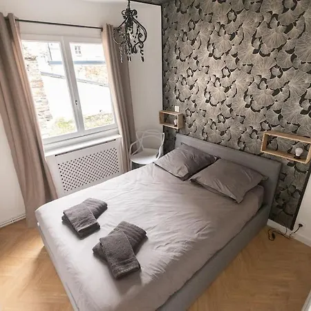 Le Cabinet De Curiosite - La Bonne Marienne Apartment Angers