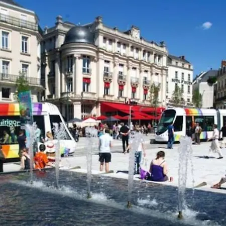 Le Cabinet De Curiosite - La Bonne Marienne Angers