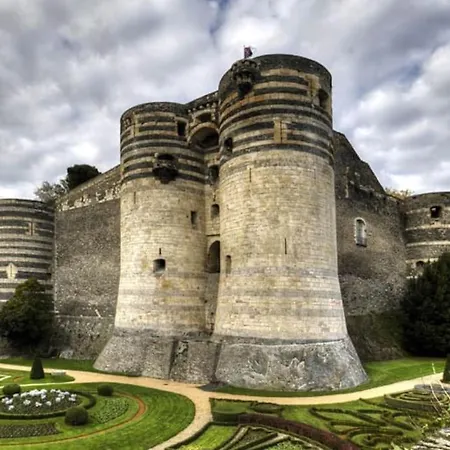 Le Cabinet De Curiosite - La Bonne Marienne * אנז'ה