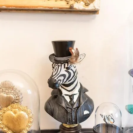 Le Cabinet De Curiosite - La Bonne Marienne Apartment Angers