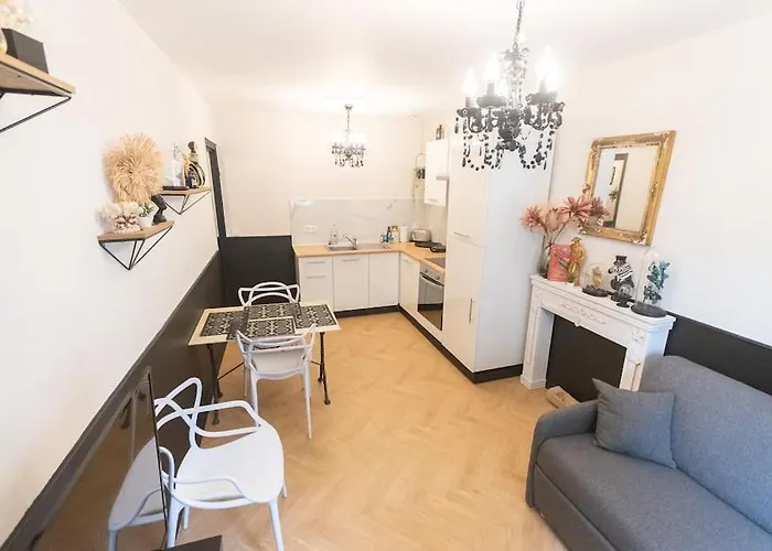 Le Cabinet De Curiosite - La Bonne Marienne Апартаменты Анже