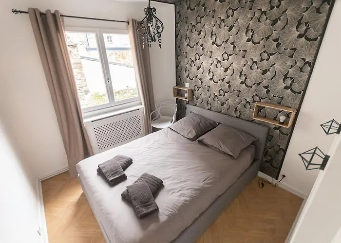 Le Cabinet De Curiosite - La Bonne Marienne Apartamento Angers