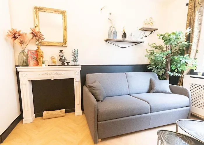 Apartamento Le Cabinet De Curiosite - La Bonne Marienne Angers