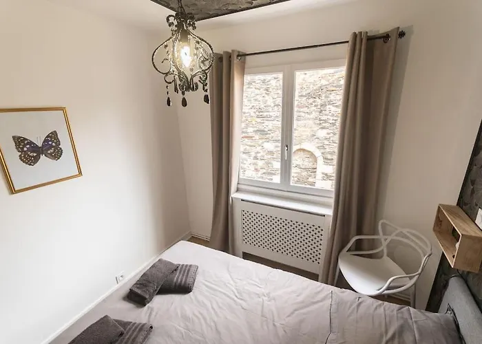 Le Cabinet De Curiosite - La Bonne Marienne Apartamento Angers